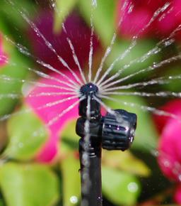 Micro Spray von Hunter für die automatische Beregnung von Topfpflanzen